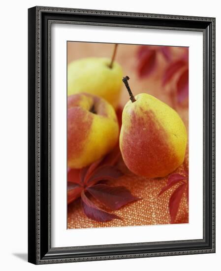 Three Pears-Vladimir Shulevsky-Framed Photographic Print