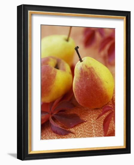 Three Pears-Vladimir Shulevsky-Framed Photographic Print