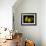 Three Pears-Terri Hill-Framed Giclee Print displayed on a wall