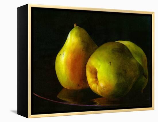 Three Pears-Terri Hill-Framed Premier Image Canvas