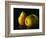 Three Pears-Terri Hill-Framed Giclee Print