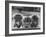 Three Pekingese Puppies One Lying the Other Two Sitting-null-Framed Photographic Print