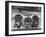 Three Pekingese Puppies One Lying the Other Two Sitting-null-Framed Photographic Print