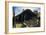 Three Pigs and a Mountain, C.1922-George Wesley Bellows-Framed Giclee Print