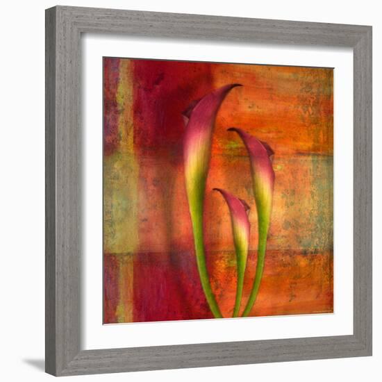 Three Pink Lilies-Robert Cattan-Framed Photographic Print