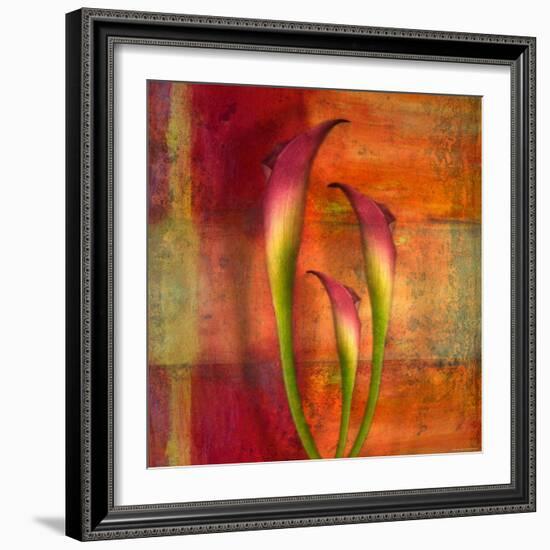 Three Pink Lilies-Robert Cattan-Framed Photographic Print