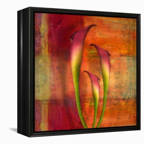 Three Pink Lilies-Robert Cattan-Framed Premier Image Canvas