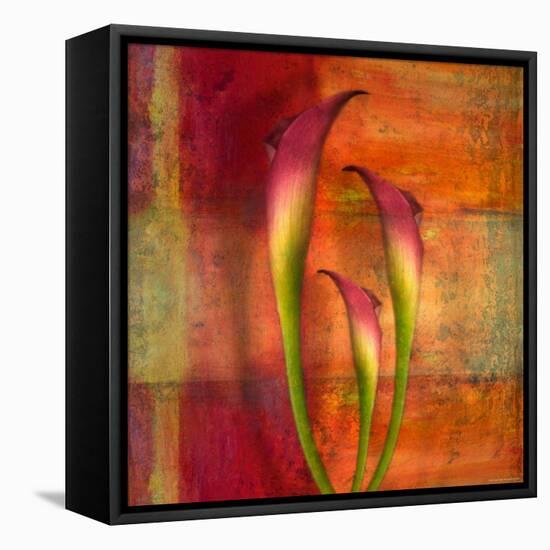 Three Pink Lilies-Robert Cattan-Framed Premier Image Canvas