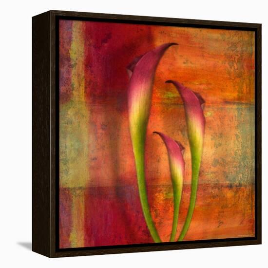 Three Pink Lilies-Robert Cattan-Framed Premier Image Canvas