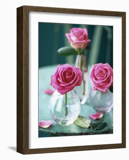 Three Pink Roses in Vases on a Garden Table-Michael Paul-Framed Photographic Print