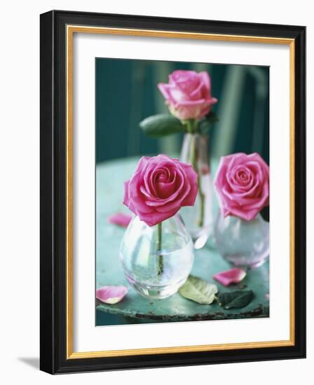 Three Pink Roses in Vases on a Garden Table-Michael Paul-Framed Photographic Print