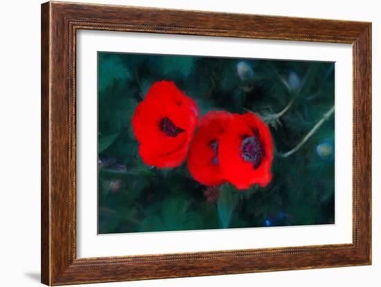 Three Poppies of Scarlet, 2018,-Helen White-Framed Giclee Print