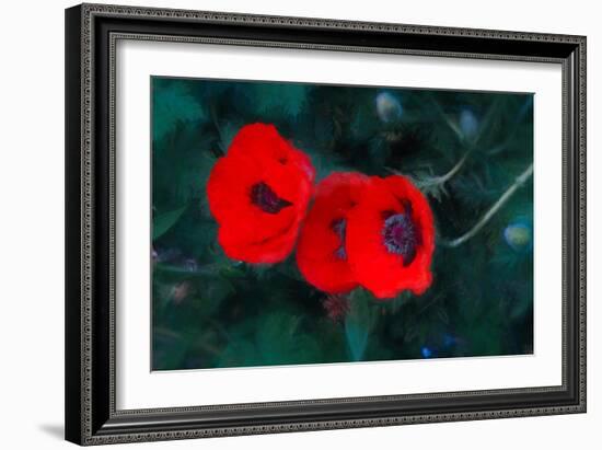 Three Poppies of Scarlet, 2018,-Helen White-Framed Giclee Print