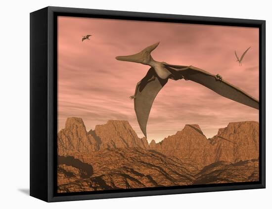 Three Pteranodon Dinosaurs Flying Above Rocky Landscape-null-Framed Stretched Canvas