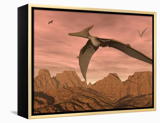 Three Pteranodon Dinosaurs Flying Above Rocky Landscape-null-Framed Stretched Canvas