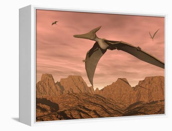 Three Pteranodon Dinosaurs Flying Above Rocky Landscape-null-Framed Stretched Canvas