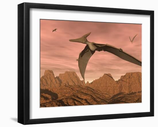 Three Pteranodon Dinosaurs Flying Above Rocky Landscape-null-Framed Art Print