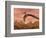 Three Pteranodon Dinosaurs Flying Above Rocky Landscape-null-Framed Premium Giclee Print