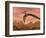 Three Pteranodon Dinosaurs Flying Above Rocky Landscape-null-Framed Premium Giclee Print