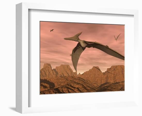 Three Pteranodon Dinosaurs Flying Above Rocky Landscape-null-Framed Premium Giclee Print