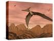 Stretched Canvas Print