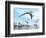 Three Pteranodons Flying over Landscape with Hills, Palm Trees and Water-null-Framed Premium Giclee Print