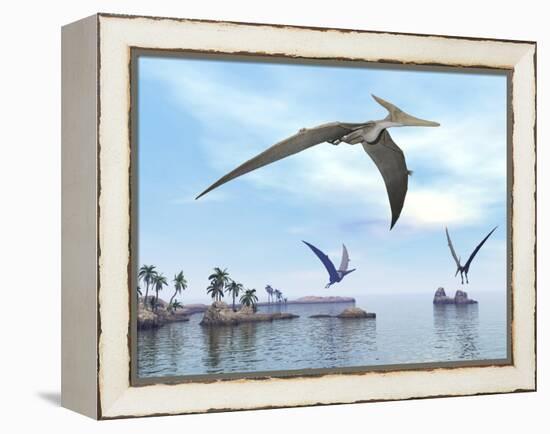 Three Pteranodons Flying over Landscape with Hills, Palm Trees and Water-null-Framed Stretched Canvas