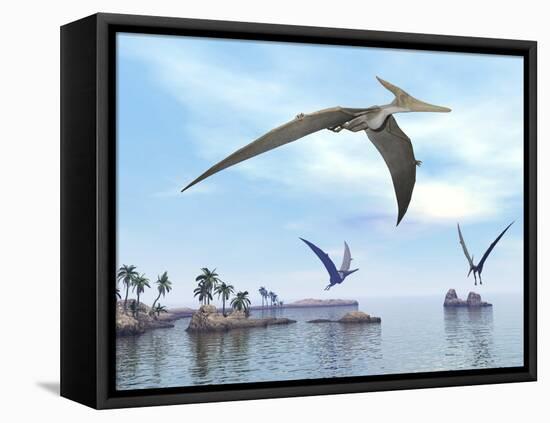 Three Pteranodons Flying over Landscape with Hills, Palm Trees and Water-null-Framed Stretched Canvas