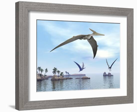 Three Pteranodons Flying over Landscape with Hills, Palm Trees and Water-null-Framed Art Print