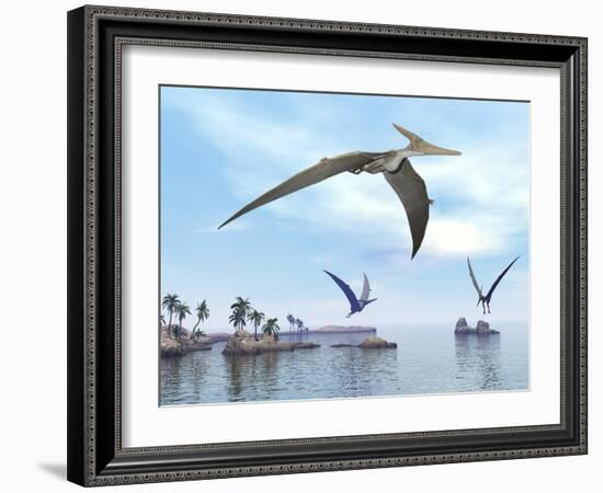 Three Pteranodons Flying over Landscape with Hills, Palm Trees and Water-null-Framed Art Print