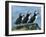 Three Puffins on Rock, Craigleath Island, East Lothian, Scotland, United Kingdom, Europe-Rainford Roy-Framed Photographic Print