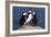 Three Puffins on Rock-Howard Ruby-Framed Photographic Print