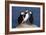 Three Puffins on Rock-Howard Ruby-Framed Photographic Print