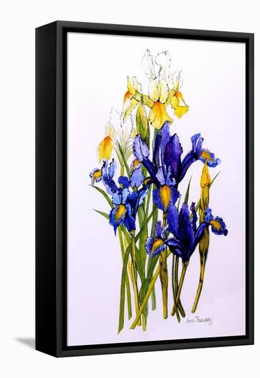 Three Purple and Two Yellow Iris with Buds, 2010-Joan Thewsey-Framed Premier Image Canvas