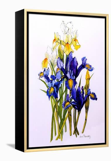 Three Purple and Two Yellow Iris with Buds, 2010-Joan Thewsey-Framed Premier Image Canvas