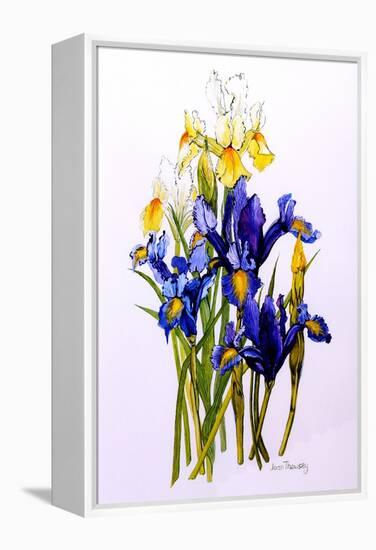 Three Purple and Two Yellow Iris with Buds, 2010-Joan Thewsey-Framed Premier Image Canvas