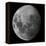Three Quarter Moon-Stocktrek Images-Framed Premier Image Canvas