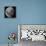 Three Quarter Moon-Stocktrek Images-Framed Premier Image Canvas displayed on a wall