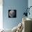 Three Quarter Moon-Stocktrek Images-Photographic Print displayed on a wall
