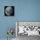 Three Quarter Moon-Stocktrek Images-Photographic Print displayed on a wall