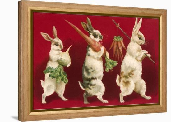 Three Rabbits Carrying Vegetables-null-Framed Stretched Canvas