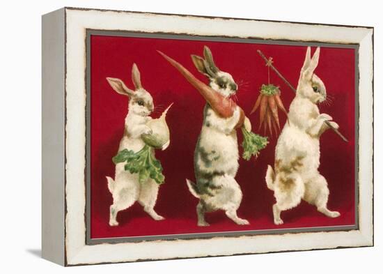 Three Rabbits Carrying Vegetables-null-Framed Stretched Canvas