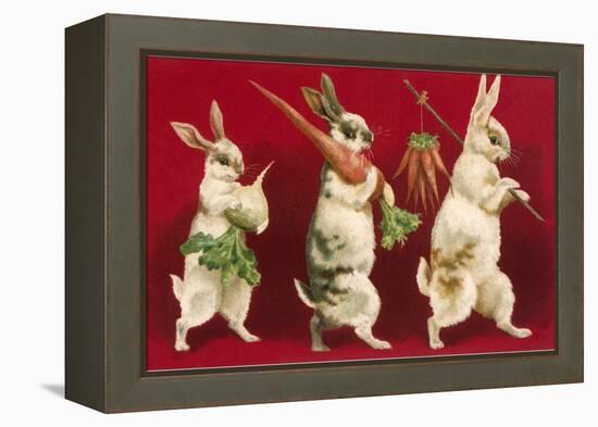 Three Rabbits Carrying Vegetables-null-Framed Stretched Canvas