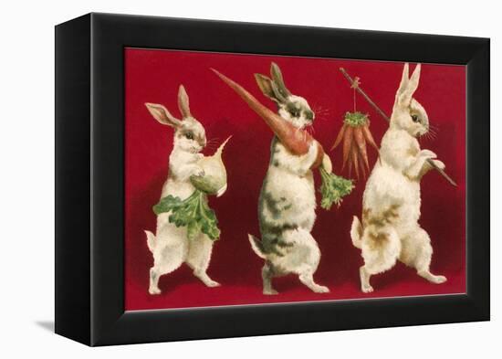 Three Rabbits Carrying Vegetables-null-Framed Stretched Canvas