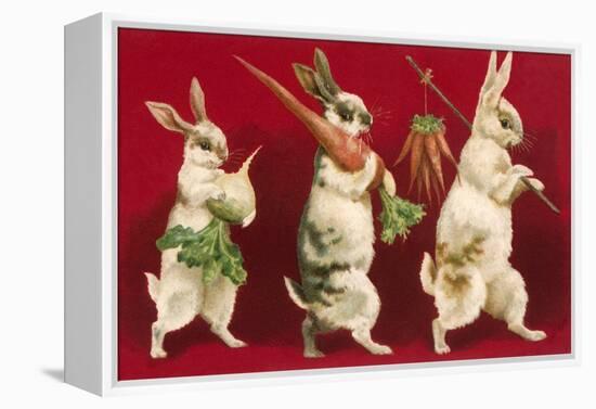 Three Rabbits Carrying Vegetables-null-Framed Stretched Canvas