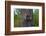 Three Racoons in Hollow of Tree-W. Perry Conway-Framed Photographic Print