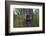 Three Racoons in Hollow of Tree-W. Perry Conway-Framed Photographic Print