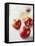 Three Red Apples-Alena Hrbkova-Framed Premier Image Canvas