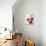 Three Red Apples-Alena Hrbkova-Photographic Print displayed on a wall