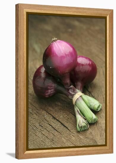 Three Red Onions on Wooden Background-Vladimir Shulevsky-Framed Premier Image Canvas